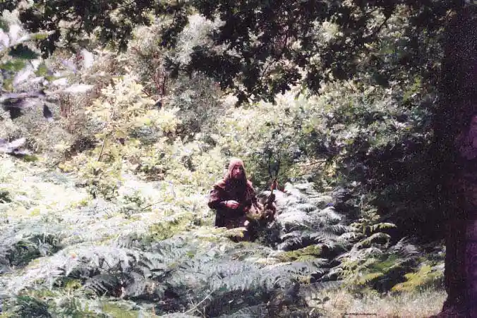 Link to The Search for a Real Robin Hood