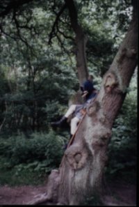 One of the Wolfshead Bowmen in Sherwood Forest.