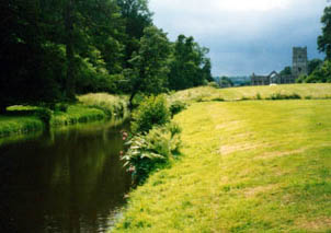 The stream running towards Fountains Abbey