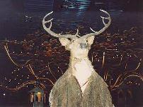 Herne's costume on display -- making Robin the son of a Pagan god gave the series many Pagan fans.