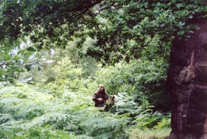 A bandit in Sherwood Forest running through the bracken (a kind of fern).