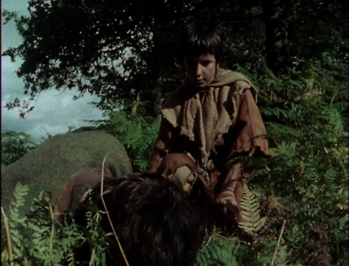 A child finds the dying Robin Hood